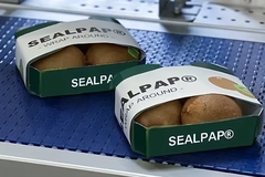 Two boxes of food on a conveyor belt.