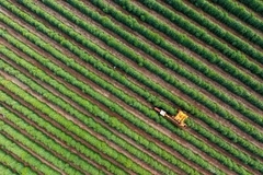 COP30: Brazil launches farmland restoration accelerator to bridge US$105B annual funding gap