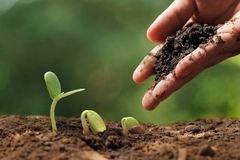 Agrobiodiversity under threat: Coalition criticizes EU seed system policy and pushes for urgent review