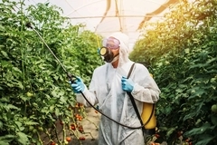 Farmer spraying pesticide