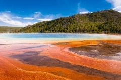 Algae innovation: Scientists convert chocolate processing waste into valuable blue pigment Algae innovation: Scientists convert chocolate processing waste into valuable blue pigment