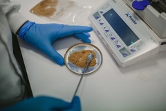 FormattedPicture FormattedPicture