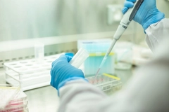 Givaudan and Bühler-backed The Cultured Hub expands into plant cell culture Givaudan and Bühler-backed The Cultured Hub expands into plant cell culture