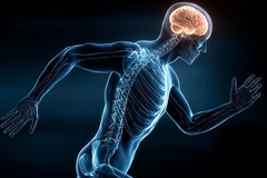 From muscle to mind: Active nutrition targets cognition, gut health and recovery