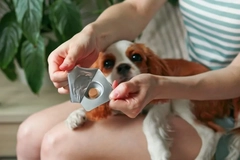 Image Pet medicine packaging