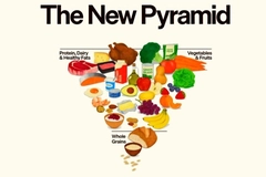Image Illustration of new food pyramid