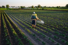 Biotalys and 21st.Bio scale protein-based biocontrols for advanced crop protection