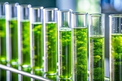 Image Green test tubes with agri-waste.