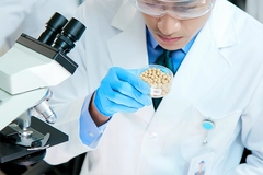 man in lab coat examins beans next to microscope