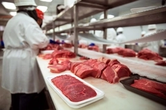 Image US beef prices surge as supply crisis triggers political intervention