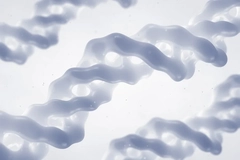 Collagen fibers Collagen fibers