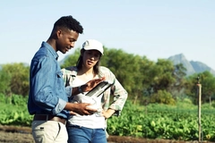 Two people checking soil health in the field