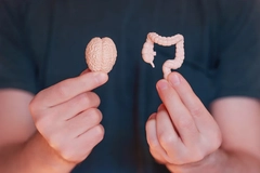 Image Diagram of gut and brain