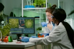 Scientist working on food in a lab.