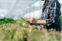 Image Food plantation.