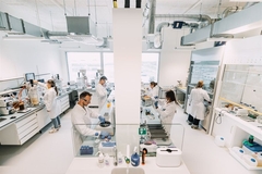 Image AmphiStar Labs