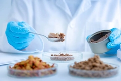Image Scientist testing cat food