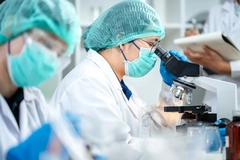 A scientist looks through a microscope at dairy products in a lab.