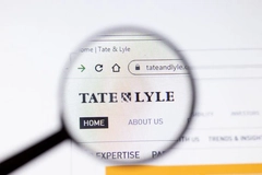 Image Tate & Lyle company logo on a computer screen under a magnifying glass