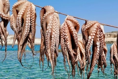 Image Octopus hanging from a rope above the ocean.