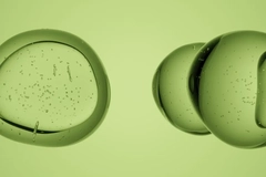 Image Green oil