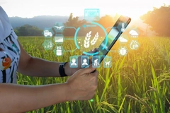farmer using AI for climate resilient crops