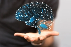Image brain neurons