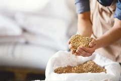 Image Person holding grains.