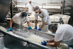 people in factory processing food