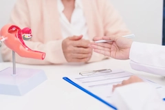 Image patient consults with doctor with vagina model on table