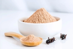 Image Bowl of cricket flour