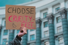 Image A hand holding a sign that says "Choose cruelty-free."
