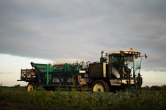 Tractor harvesting crops in a field.