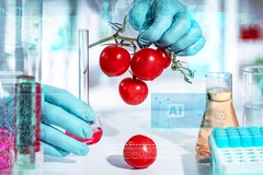 Image Gloved hands hold fresh cherry tomatoes in a smart food laboratory with blurred background and holographic AI data.