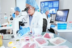 Food science laboratory testing.