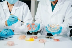 scientists in lab with cultivated meat samples scientists' hands with cultivated meat in petridishes