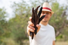 Farmer with carob plants.