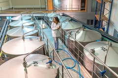 young female scientist walking in fermentation site with large tanks