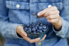 Image Person eating blue berries