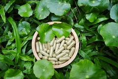 Image Ginkgo biloba supplements