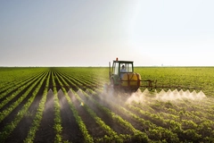 Farmer using a tractor to spray pesticides onto a field of crops.