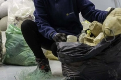 Image man collecting marine litter