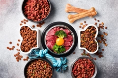 Dog food Dog food